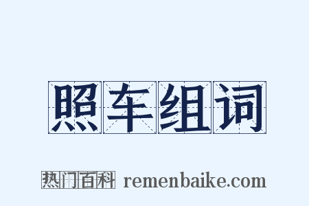 照车组词是什么意思的图片